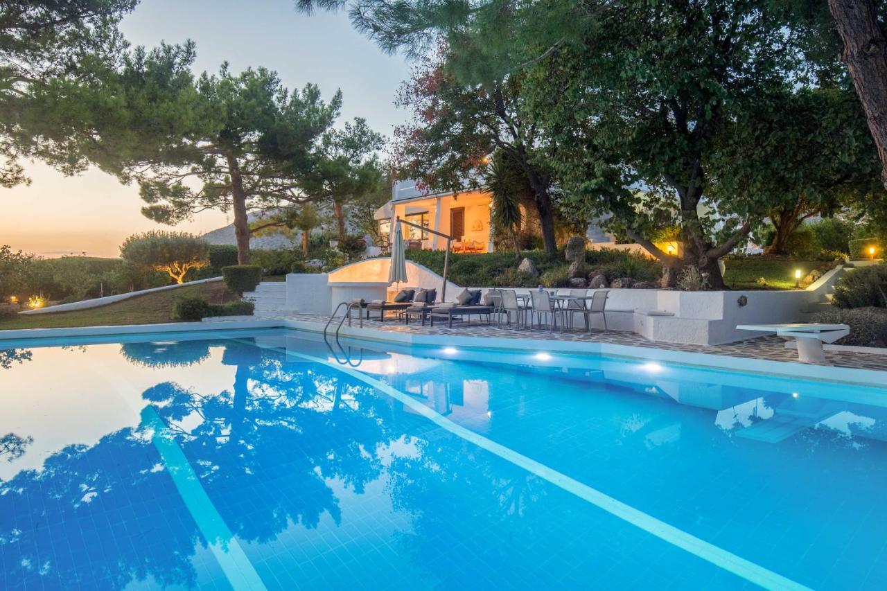 Villa Oasis With Large Pool Athenian Riviera Lagonissi Лагонисси Экстерьер фото