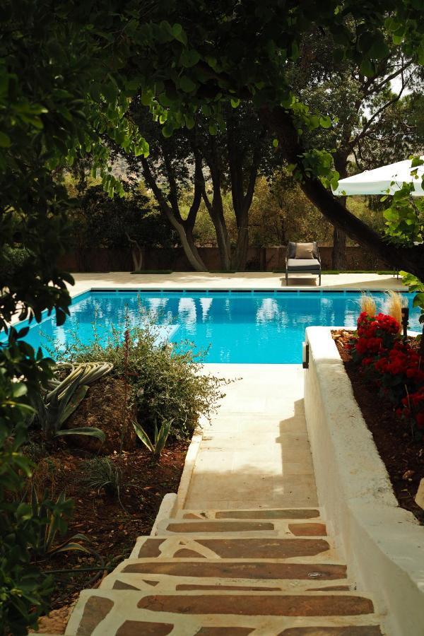 Villa Oasis With Large Pool Athenian Riviera Lagonissi Лагонисси Экстерьер фото