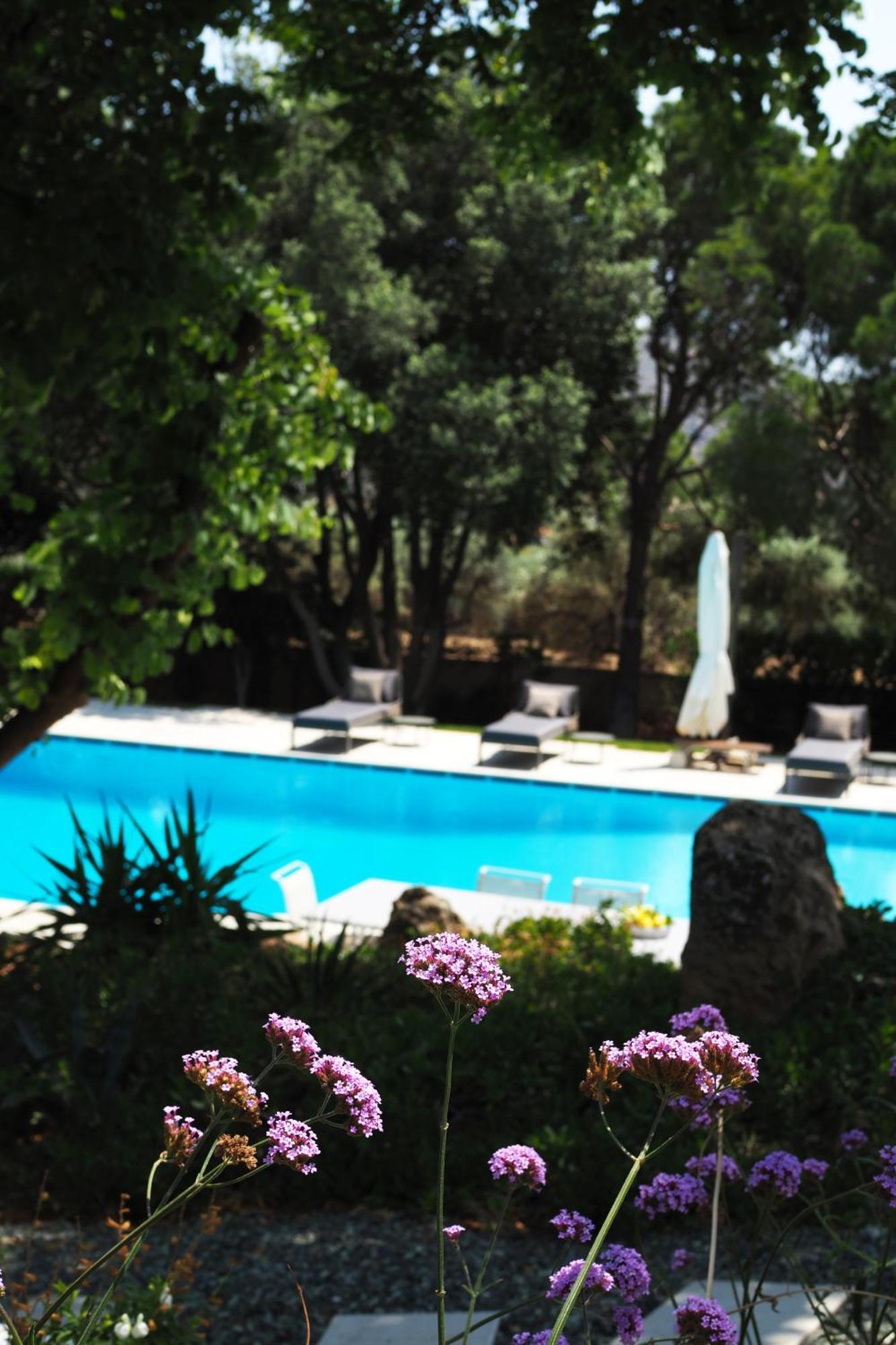 Villa Oasis With Large Pool Athenian Riviera Lagonissi Лагонисси Экстерьер фото